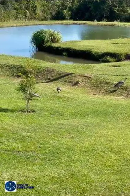 Foto 2 de Fazenda / Haras com 4 quartos à venda, 26m2 em Serranopolis - GO