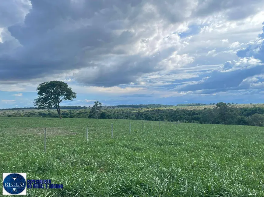 Foto 4 de Fazenda / Haras com 4 quartos à venda, 26m2 em Serranopolis - GO