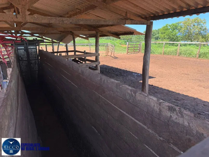 Foto 5 de Fazenda / Haras com 4 quartos à venda, 2475m2 em Alto Paraiso De Goias - GO