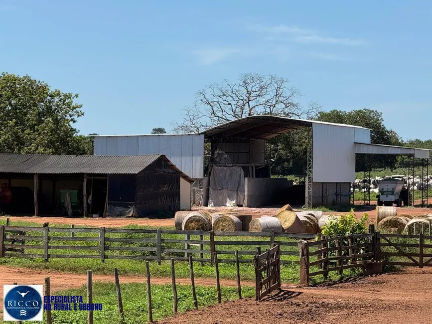 Foto 4 de Fazenda / Haras com 4 quartos à venda, 2475m2 em Alto Paraiso De Goias - GO