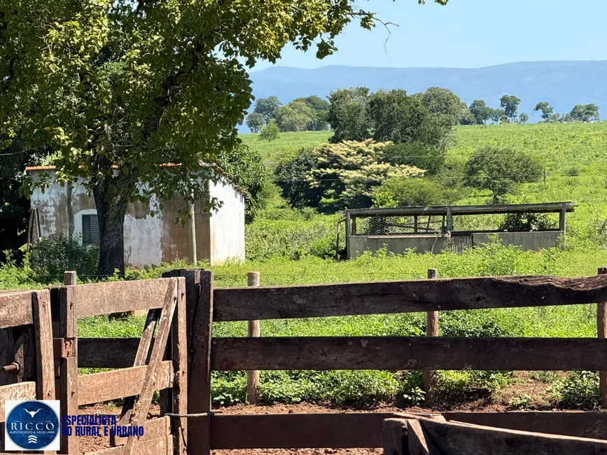 Foto 3 de Fazenda / Haras com 4 quartos à venda, 2475m2 em Alto Paraiso De Goias - GO
