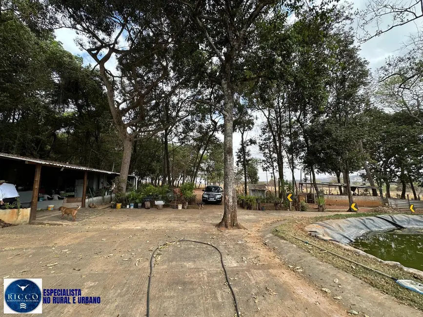 Foto 5 de Chácara com 5 quartos à venda, 7500m2 em Bonfinopolis - GO