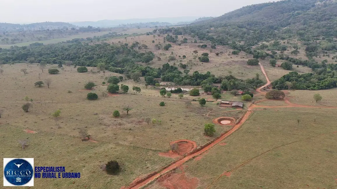 Foto 3 de Fazenda / Haras à venda, 31m2 em Corrego Do Ouro - GO