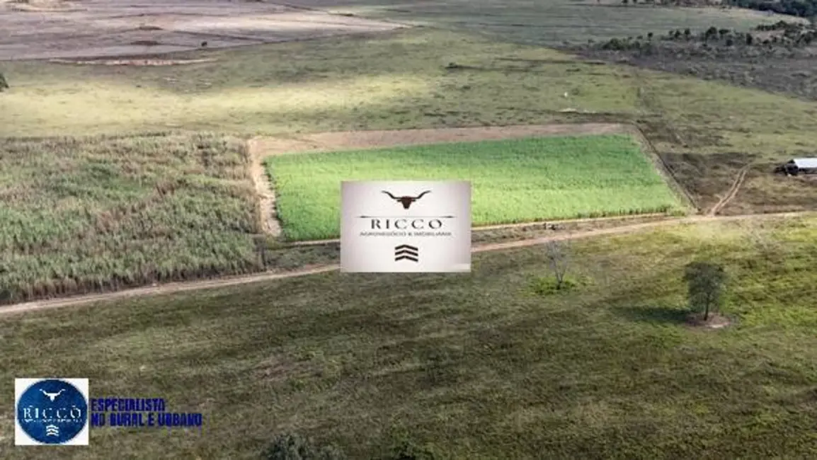 Foto 6 de Chácara com 2 quartos à venda, 8m2 em Vila Propicio - GO