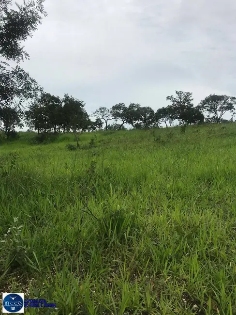 Foto 9 de Fazenda / Haras com 3 quartos à venda, 48m2 em Cocalzinho De Goias - GO