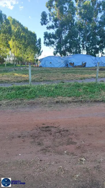 Foto 6 de Fazenda / Haras com 4 quartos à venda, 93m2 em Bom Jardim De Goias - GO