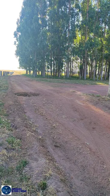 Foto 8 de Fazenda / Haras com 4 quartos à venda, 93m2 em Bom Jardim De Goias - GO
