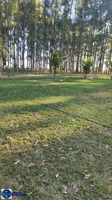 Foto 9 de Fazenda / Haras com 4 quartos à venda, 93m2 em Bom Jardim De Goias - GO