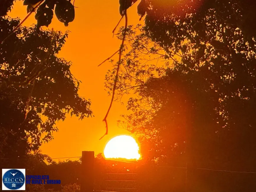 Foto 6 de Fazenda / Haras com 7 quartos à venda, 2330m2 em Sao Jose Do Xingu - MT