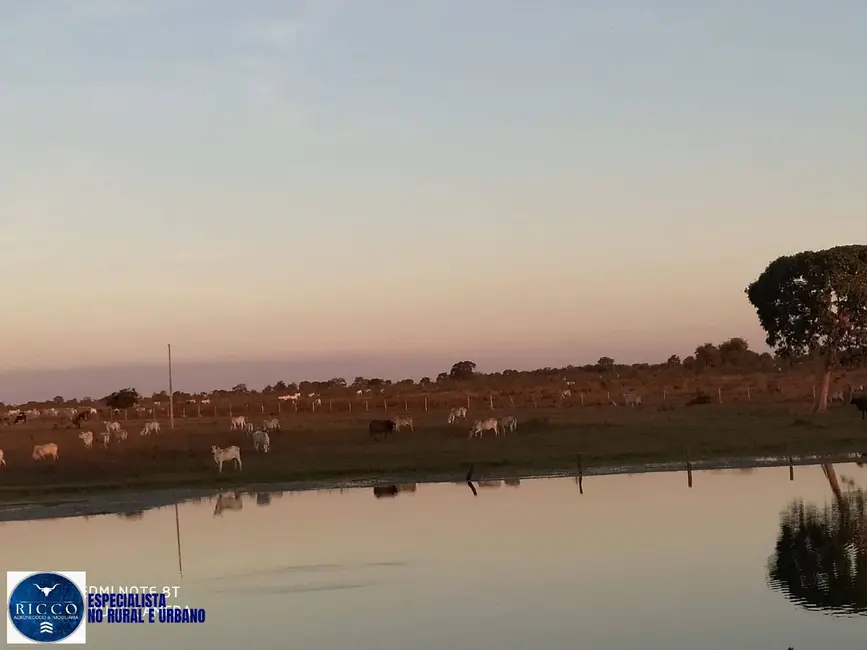 Foto 8 de Fazenda / Haras com 7 quartos à venda, 2330m2 em Sao Jose Do Xingu - MT