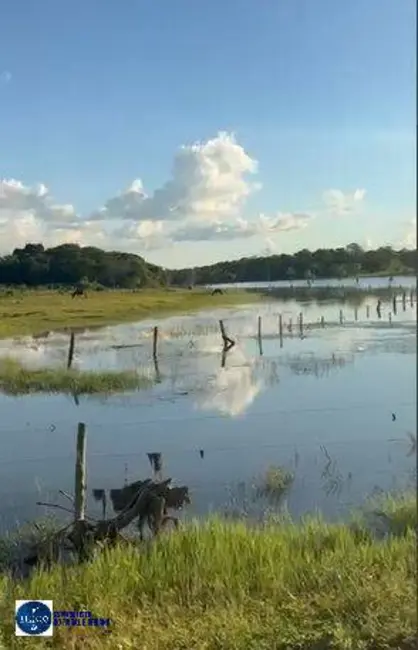 Foto 3 de Fazenda / Haras com 7 quartos à venda, 2330m2 em Sao Jose Do Xingu - MT