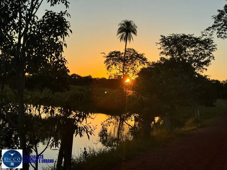 Foto 7 de Fazenda / Haras com 7 quartos à venda, 2330m2 em Sao Jose Do Xingu - MT