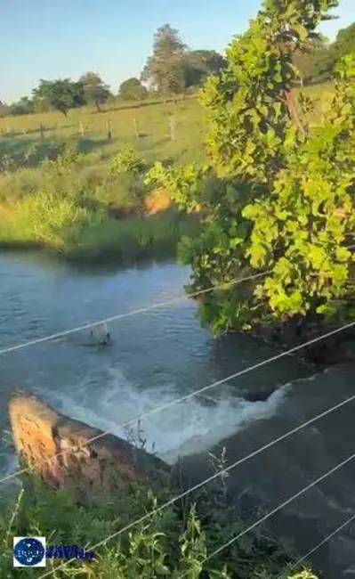 Foto 2 de Fazenda / Haras com 7 quartos à venda, 2330m2 em Sao Jose Do Xingu - MT