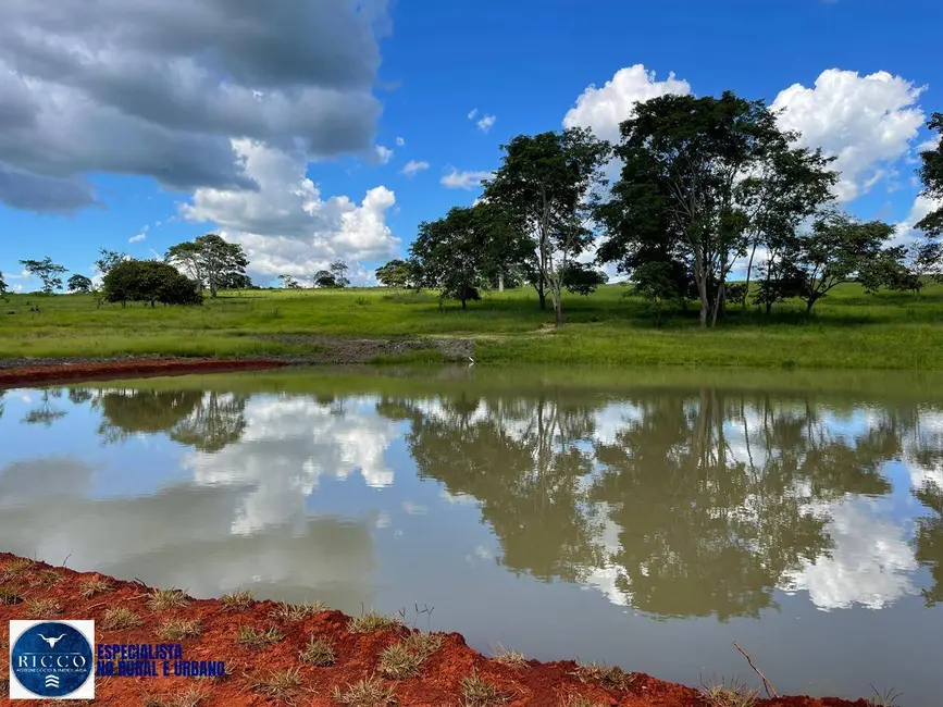 Foto 8 de Chácara com 3 quartos à venda em Aracu - GO