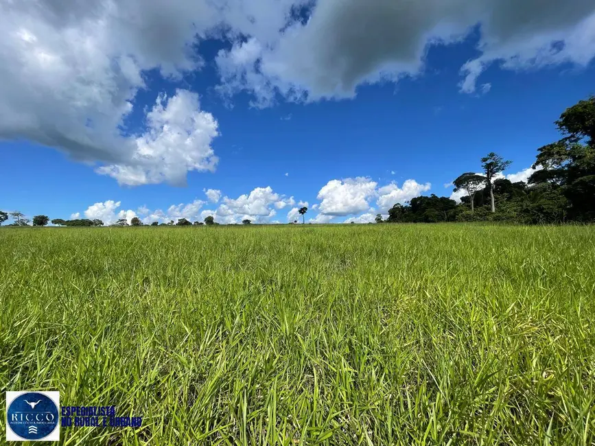 Foto 9 de Chácara com 3 quartos à venda em Aracu - GO