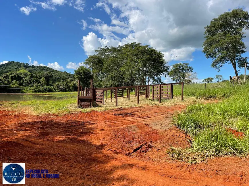 Foto 5 de Chácara com 3 quartos à venda em Aracu - GO