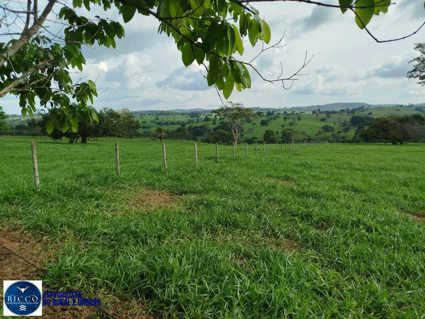 Foto 2 de Chácara à venda em Aracu - GO