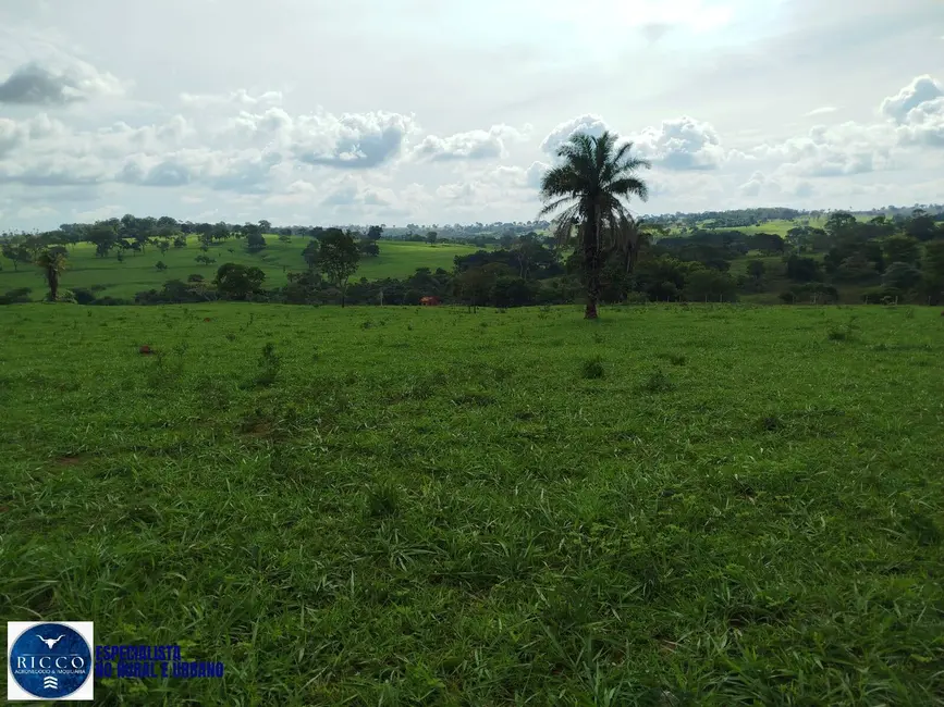 Foto 3 de Chácara à venda em Aracu - GO