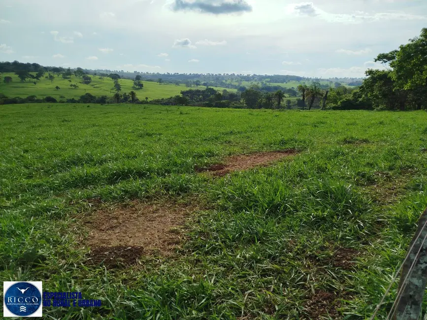 Foto 4 de Chácara à venda em Aracu - GO
