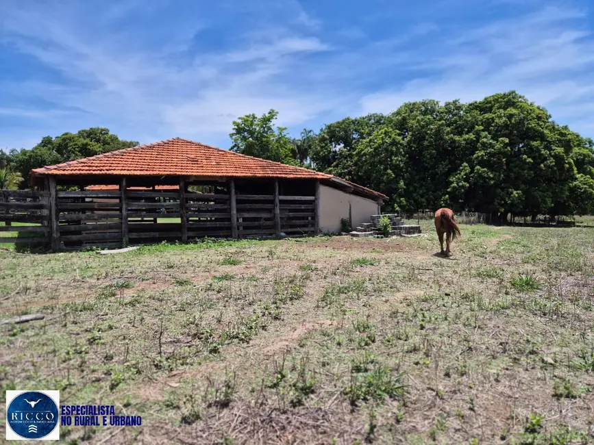 Foto 4 de Sítio / Rancho com 4 quartos à venda, 15m2 em Palmeiras De Goias - GO