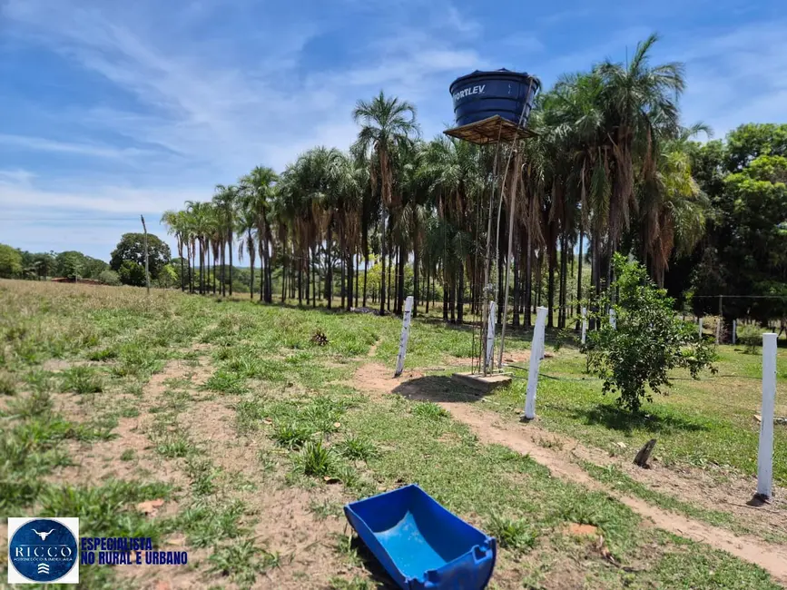 Foto 3 de Sítio / Rancho com 4 quartos à venda, 15m2 em Palmeiras De Goias - GO