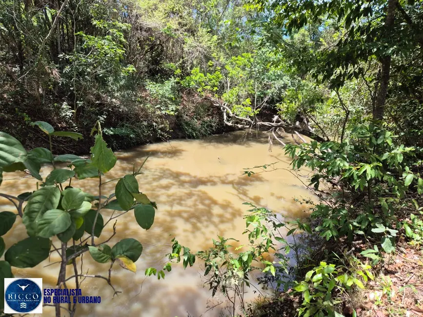 Foto 2 de Sítio / Rancho com 4 quartos à venda, 15m2 em Palmeiras De Goias - GO