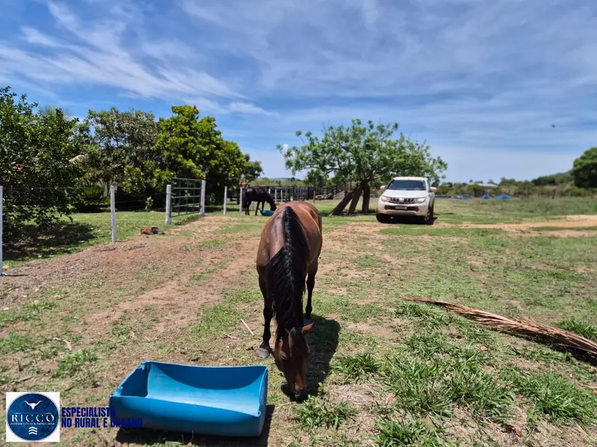Foto 9 de Sítio / Rancho com 4 quartos à venda, 15m2 em Palmeiras De Goias - GO