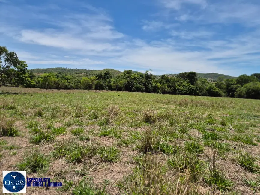 Foto 5 de Sítio / Rancho com 4 quartos à venda, 15m2 em Palmeiras De Goias - GO