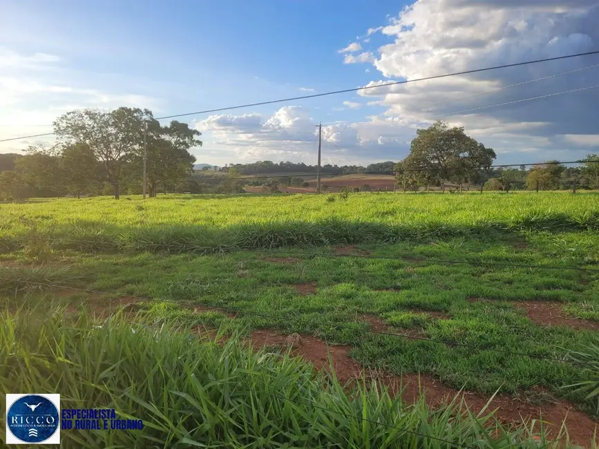 Foto 6 de Sítio / Rancho com 3 quartos à venda, 9m2 em Itaguari - GO