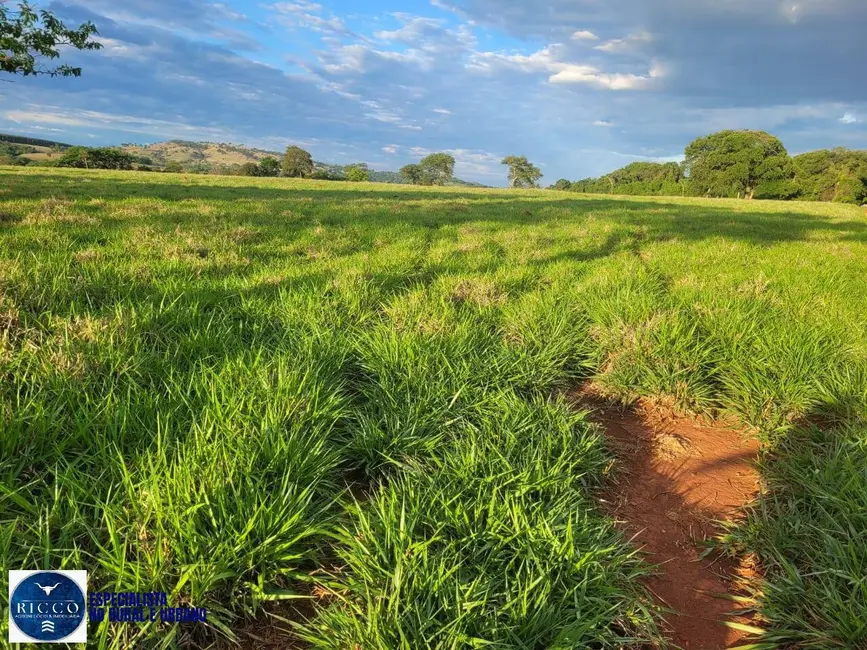 Foto 1 de Sítio / Rancho com 3 quartos à venda, 9m2 em Itaguari - GO