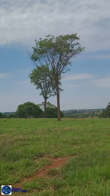 Foto 8 de Sítio / Rancho com 3 quartos à venda, 9m2 em Itaguari - GO