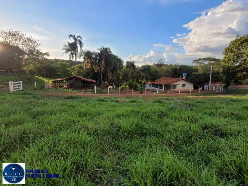 Foto 7 de Sítio / Rancho com 3 quartos à venda, 9m2 em Itaguari - GO