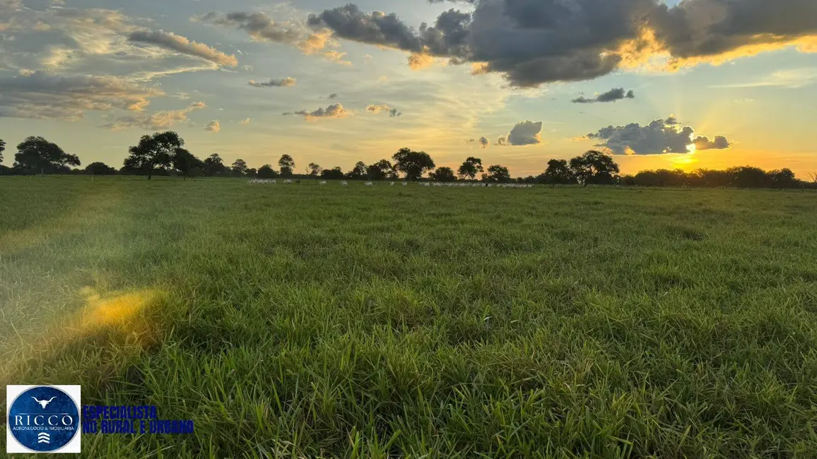 Foto 1 de Fazenda / Haras com 4 quartos à venda, 371m2 em Aruana - GO