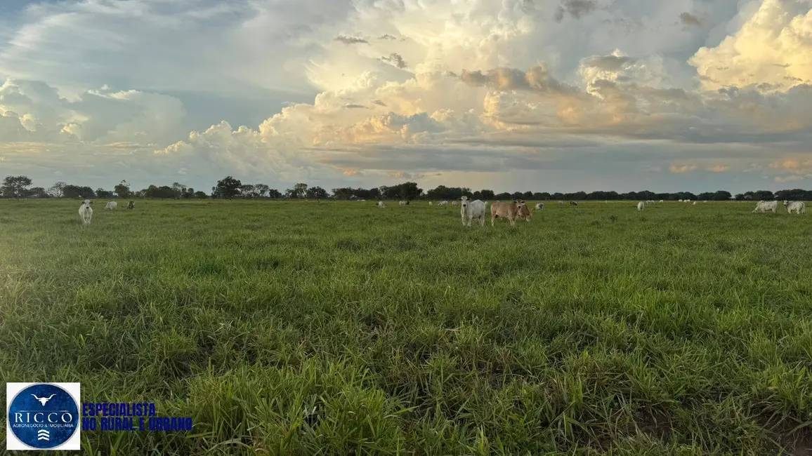 Foto 4 de Fazenda / Haras com 4 quartos à venda, 371m2 em Aruana - GO