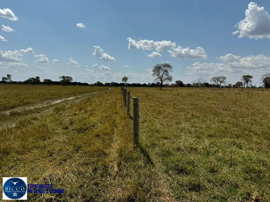 Foto 4 de Fazenda / Haras com 4 quartos à venda, 371m2 em Aruana - GO