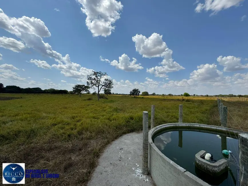 Foto 6 de Fazenda / Haras com 4 quartos à venda, 371m2 em Aruana - GO
