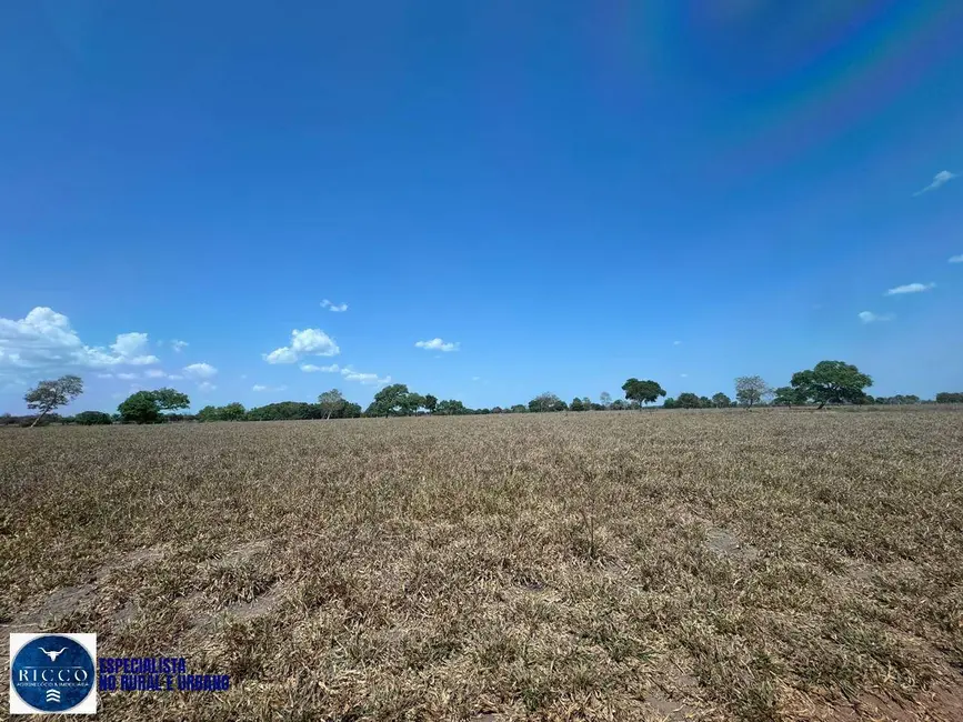 Foto 7 de Fazenda / Haras com 4 quartos à venda, 371m2 em Aruana - GO