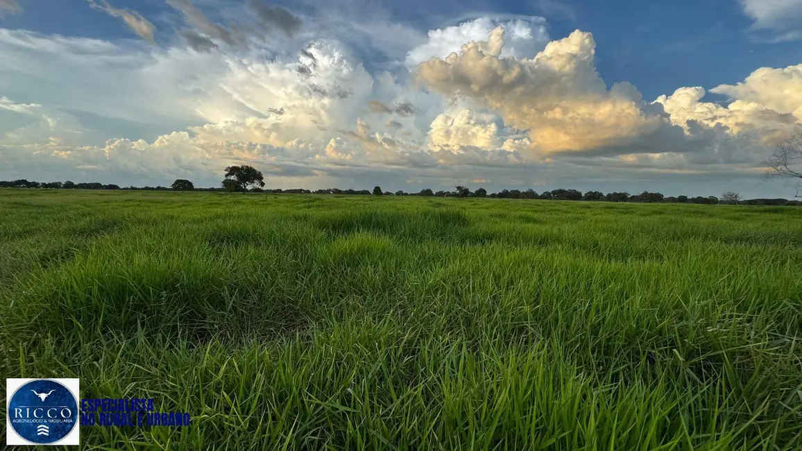 Foto 5 de Fazenda / Haras com 4 quartos à venda, 371m2 em Aruana - GO