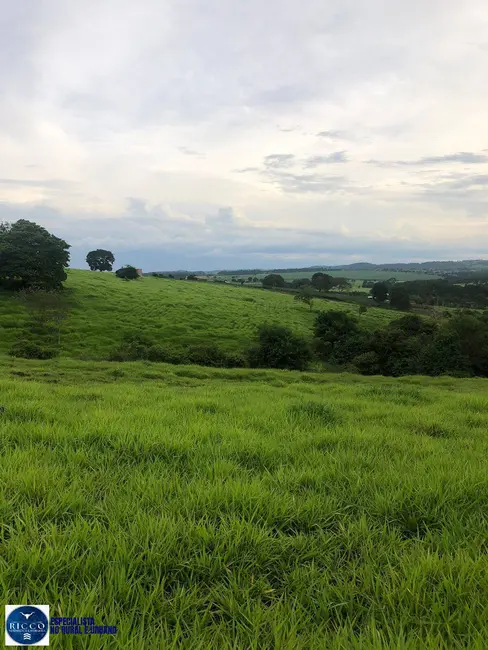 Foto 9 de Chácara com 2 quartos à venda em Itaucu - GO