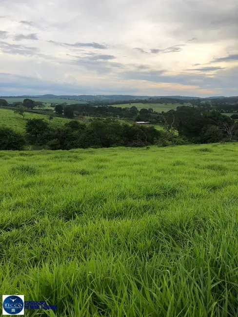 Foto 7 de Chácara com 2 quartos à venda em Itaucu - GO