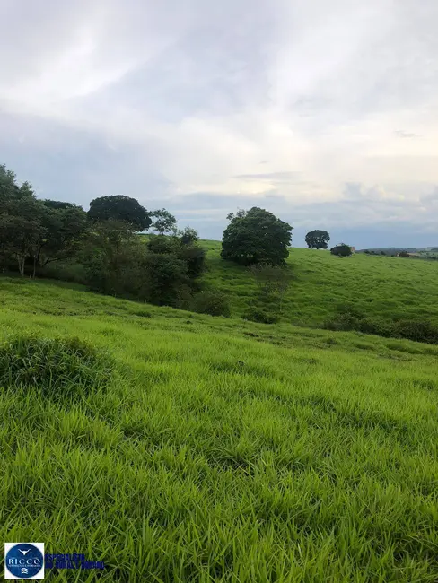 Foto 8 de Chácara com 2 quartos à venda em Itaucu - GO