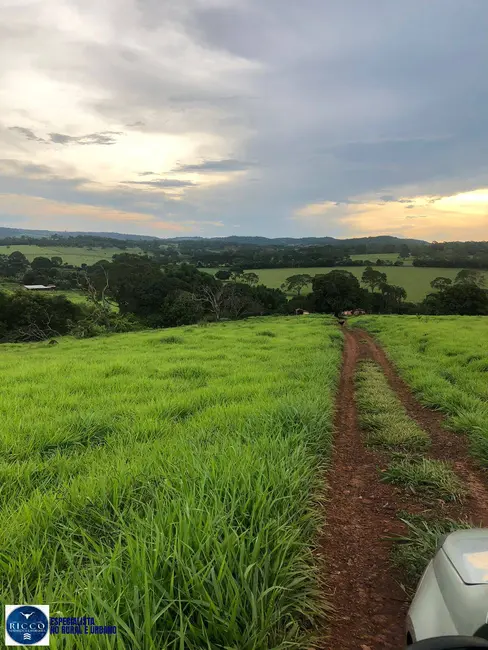 Foto 5 de Chácara com 2 quartos à venda em Itaucu - GO
