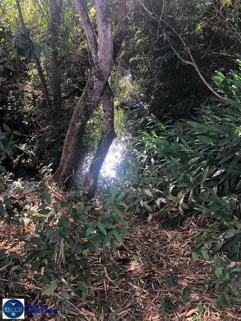 Foto 3 de Chácara com 2 quartos à venda em Itaucu - GO