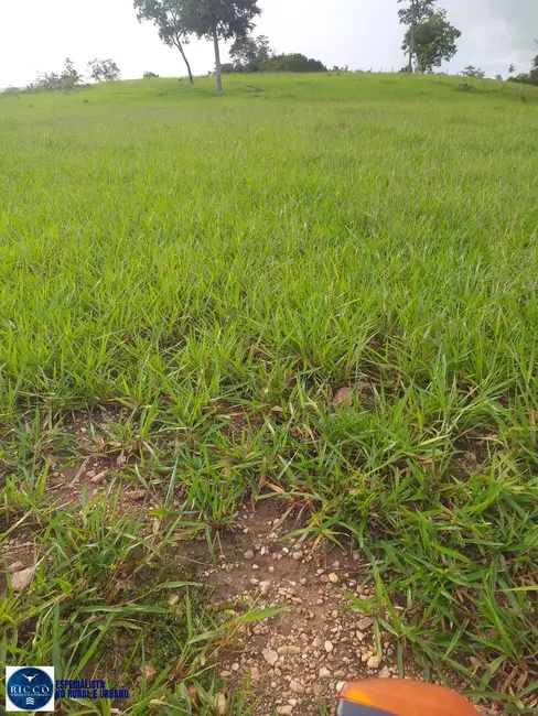 Foto 9 de Chácara à venda, 10m2 em Sao Luis De Montes Belos - GO