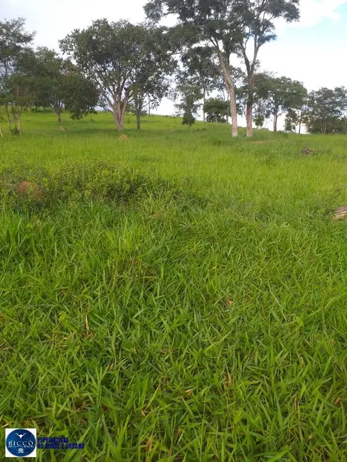 Foto 7 de Chácara à venda, 10m2 em Sao Luis De Montes Belos - GO