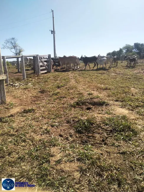 Foto 5 de Chácara à venda, 10m2 em Sao Luis De Montes Belos - GO