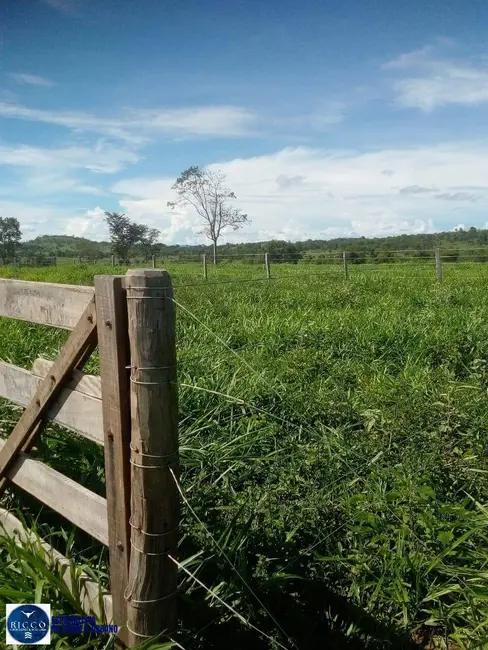 Foto 1 de Chácara à venda, 10m2 em Sao Luis De Montes Belos - GO