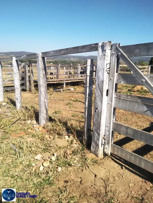 Foto 4 de Chácara à venda, 10m2 em Sao Luis De Montes Belos - GO