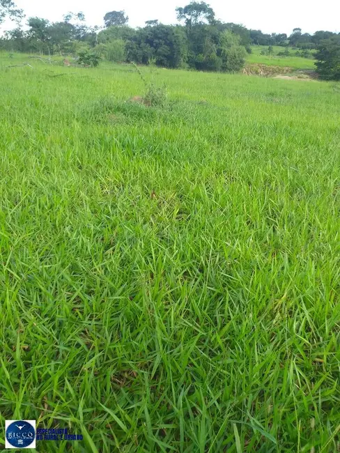 Foto 2 de Chácara à venda, 10m2 em Sao Luis De Montes Belos - GO