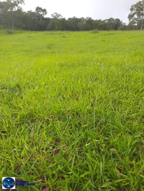 Foto 6 de Chácara à venda, 10m2 em Sao Luis De Montes Belos - GO